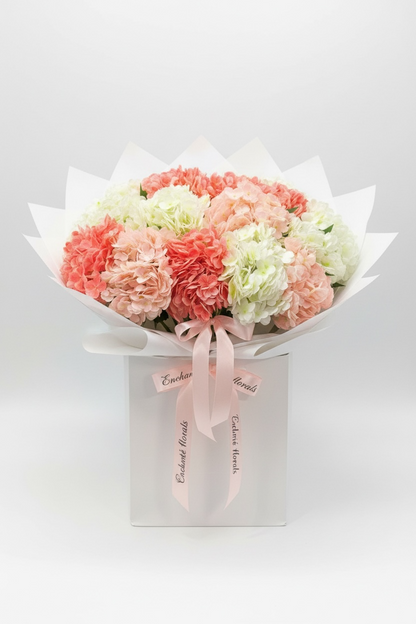 Hydrangea Éternelle